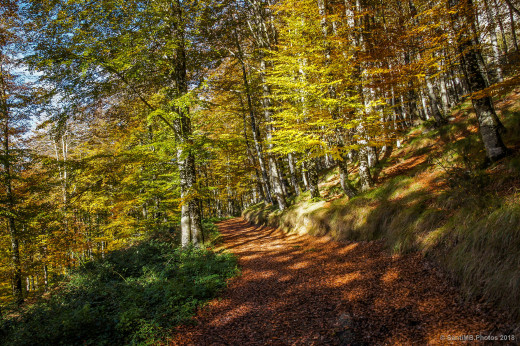 1320107 (a): :2048x1361
